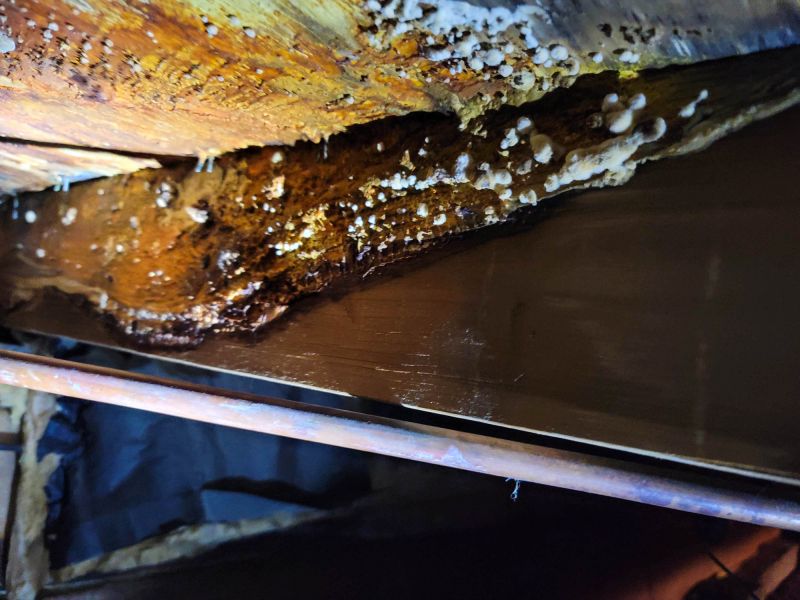 Damaged Beam Remediation