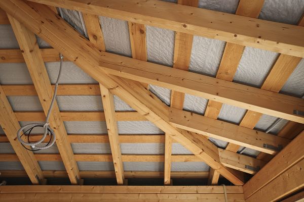 Roof Rafter Repair
